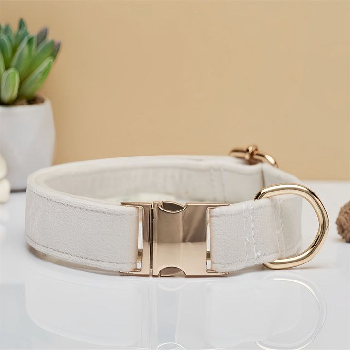 Beige Durable Dog Collar with Metal Buckle - Adjustable Nylon Pet Collar for Small to Large Dogs Size S