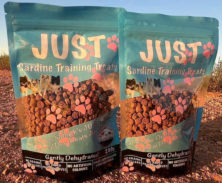 1x Just Sardine Training Treats - 100g