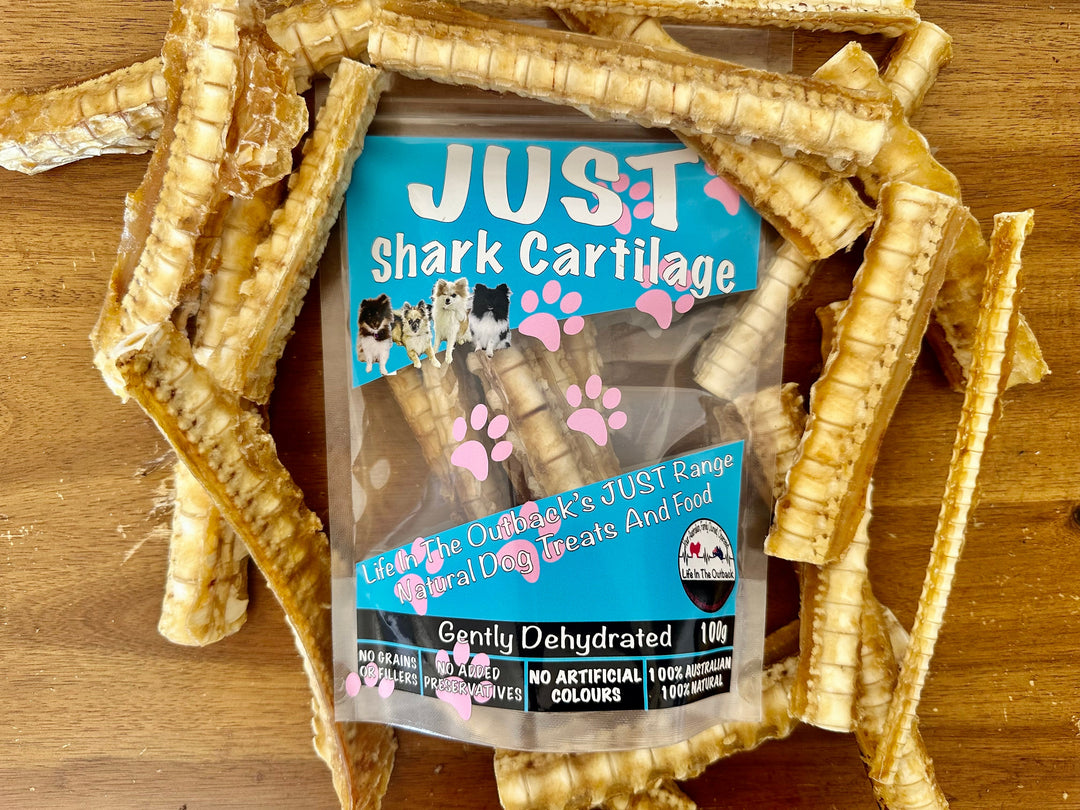 1x Just Shark Cartilage