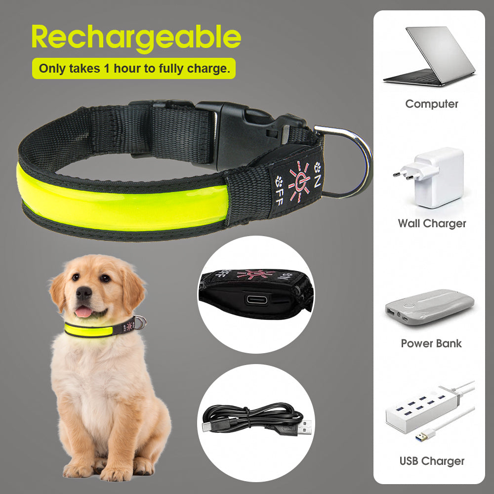 50cm Rechargeable Light-up LED Pet Collar