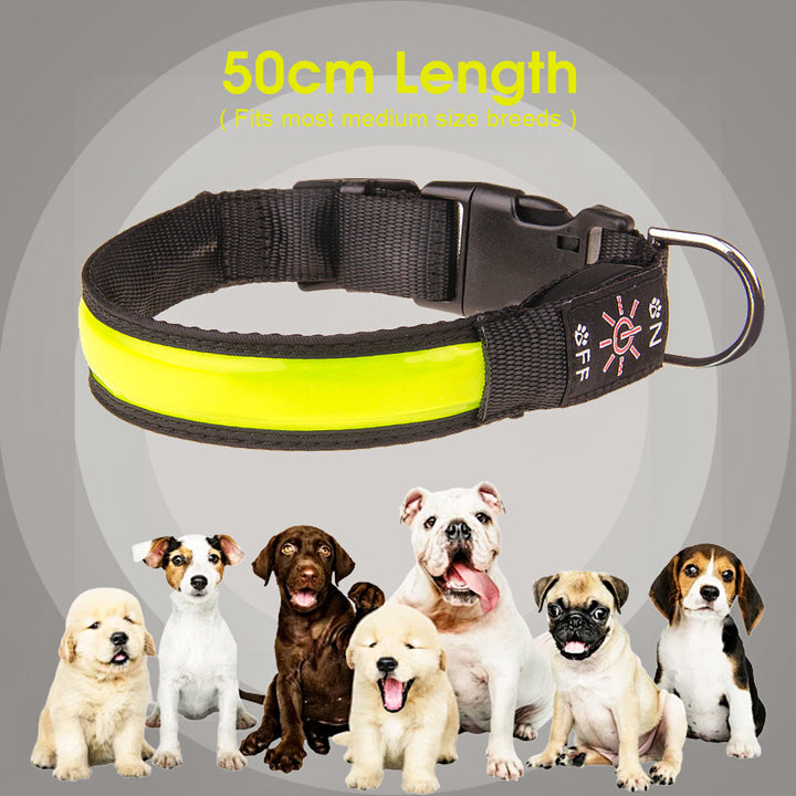 50cm Rechargeable Light-up LED Pet Collar