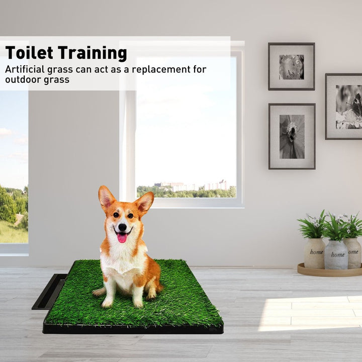 Floofi Pet Grass Training Potty 2 Piece Set