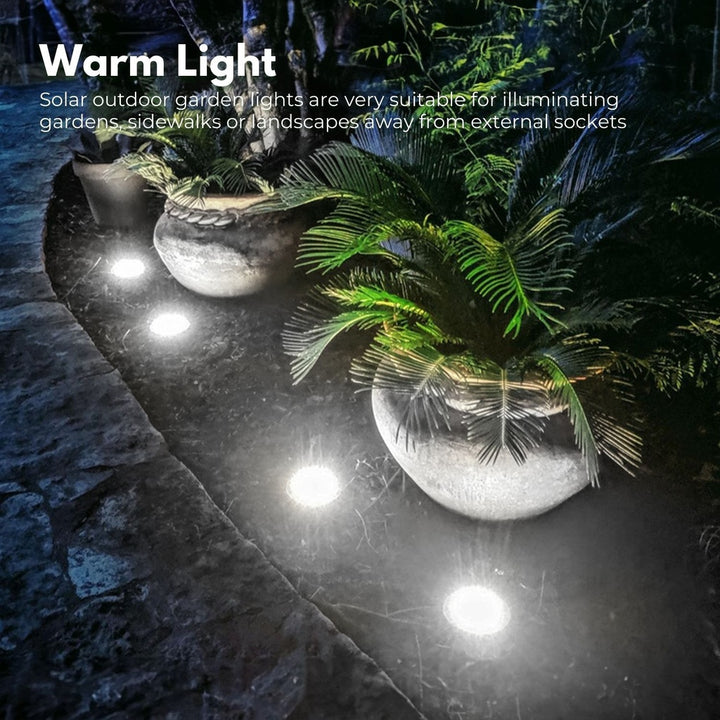 NOVEDEN 12 Pack Waterproof Solar LED Light (White)