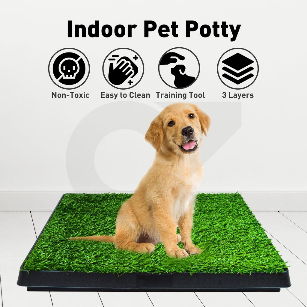 Floofi Pet Grass Training Potty