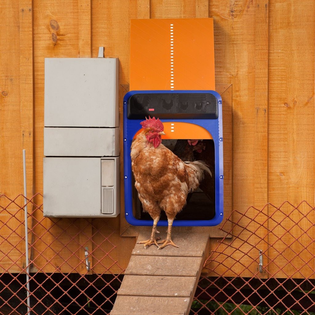 FLOOFI Automatic Chicken Coop Door Opener with Light Sensing (Blue and Yellow)