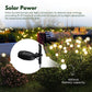 NOVEDEN 3 Pieces Solar Powered Firefly Lights (Warm)