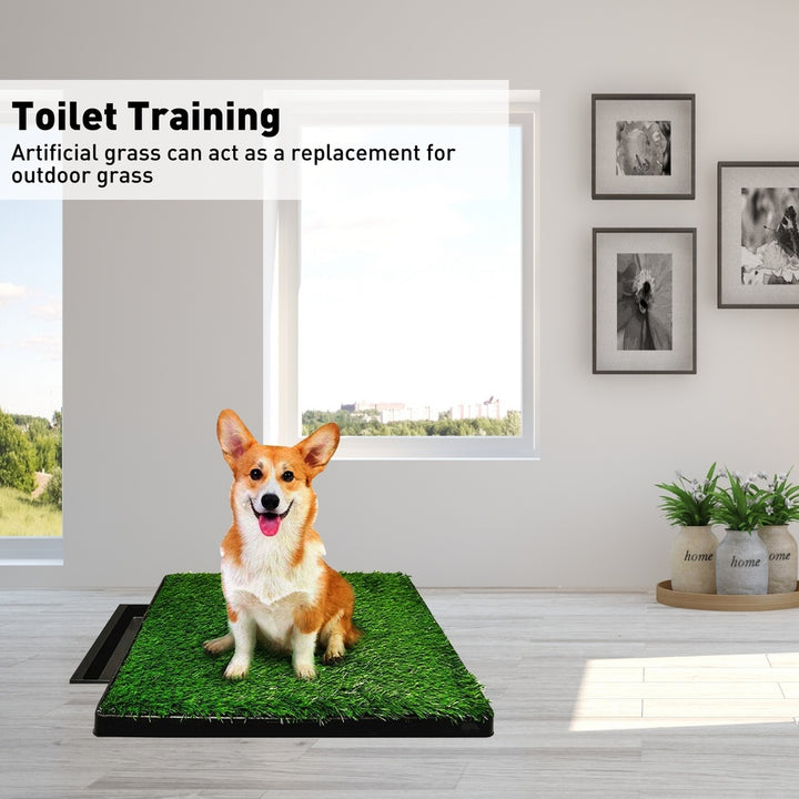 Floofi Pet Grass Training Potty