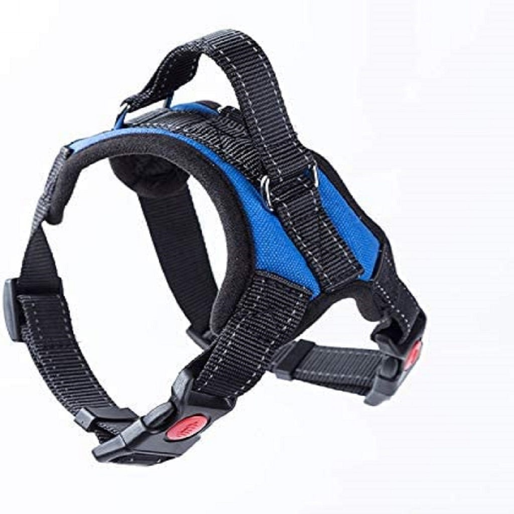 FLOOFI Dog Harness L Size (Blue)