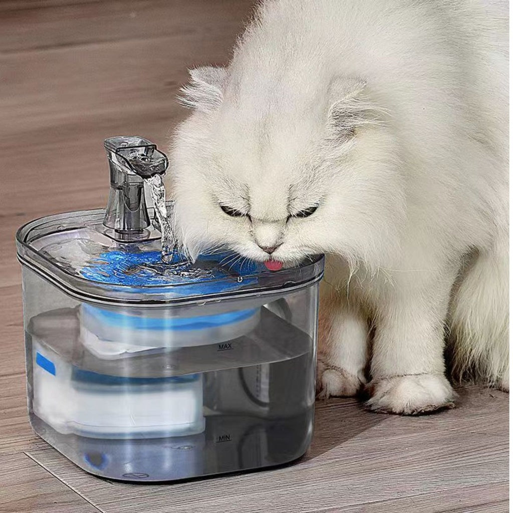 FLOOFI 2L Pet Water Fountain for Cats and Small Dogs