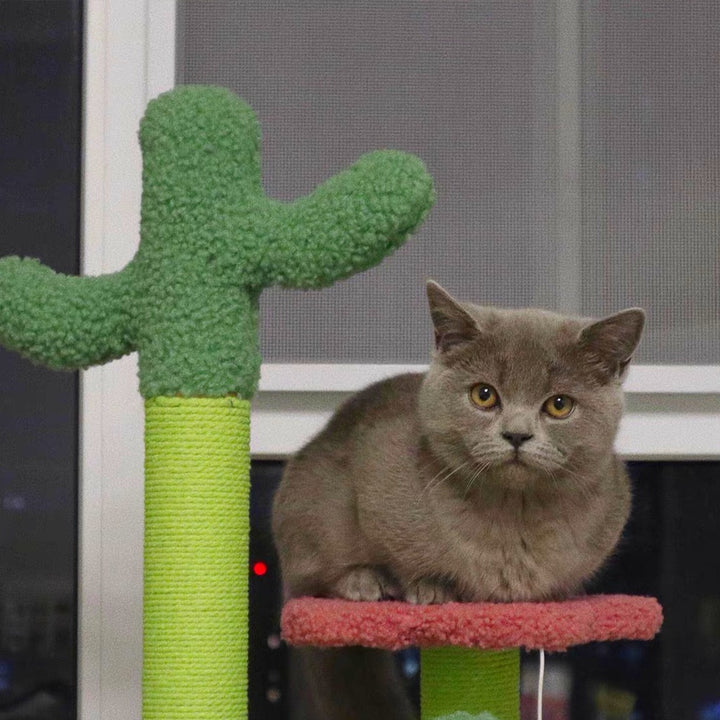 Floofi Flower Cat Tree with 2 Cactus 50cm