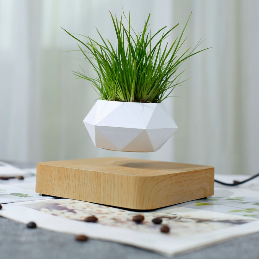 GOMINIMO Magnetic Levitating Plant Pot (Light Brown Base)