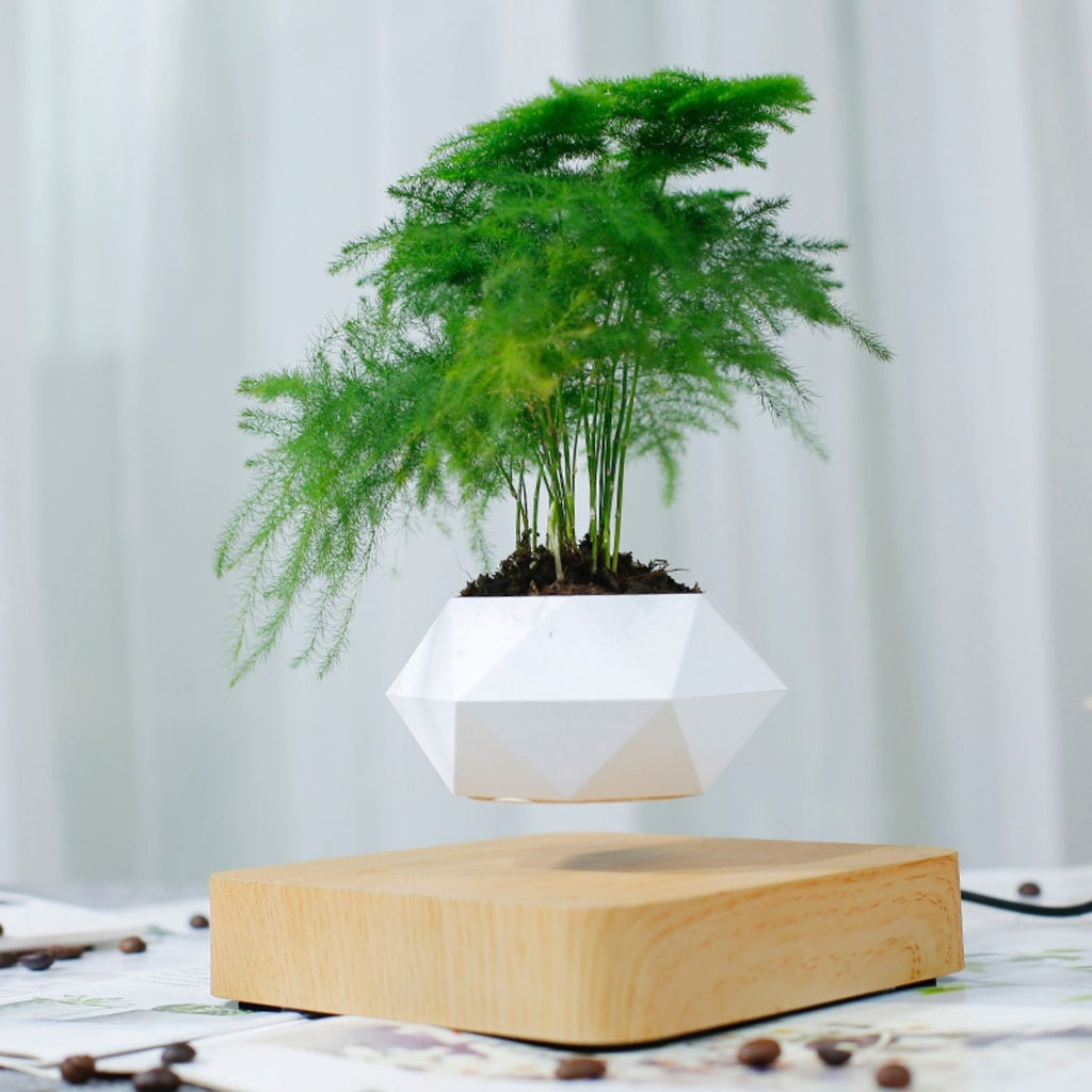 GOMINIMO Magnetic Levitating Plant Pot (Light Brown Base)