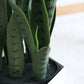 SOGA 4X 95cm Artificial Indoor Snake Sansevieria Plant Fake Decoration Tree Flower Pot
