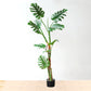 SOGA 2X 175cm Green Artificial Indoor Turtle Back Tree Fake Fern Plant Decorative