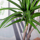SOGA 180cm Green Artificial Indoor Brazlian Iron Tree Fake Plant Decorative 4 Heads