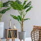 SOGA 4X 160cm Green Artificial Indoor Turtle Back Tree Fake Fern Plant Decorative