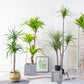 SOGA 4X 180cm Green Artificial Indoor Brazlian Iron Tree Fake Plant Decorative 3 Heads