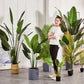 SOGA 4X 180cm Green Artificial Indoor Nordic Wind Traveller Banana Plant Fake Decorative Tree