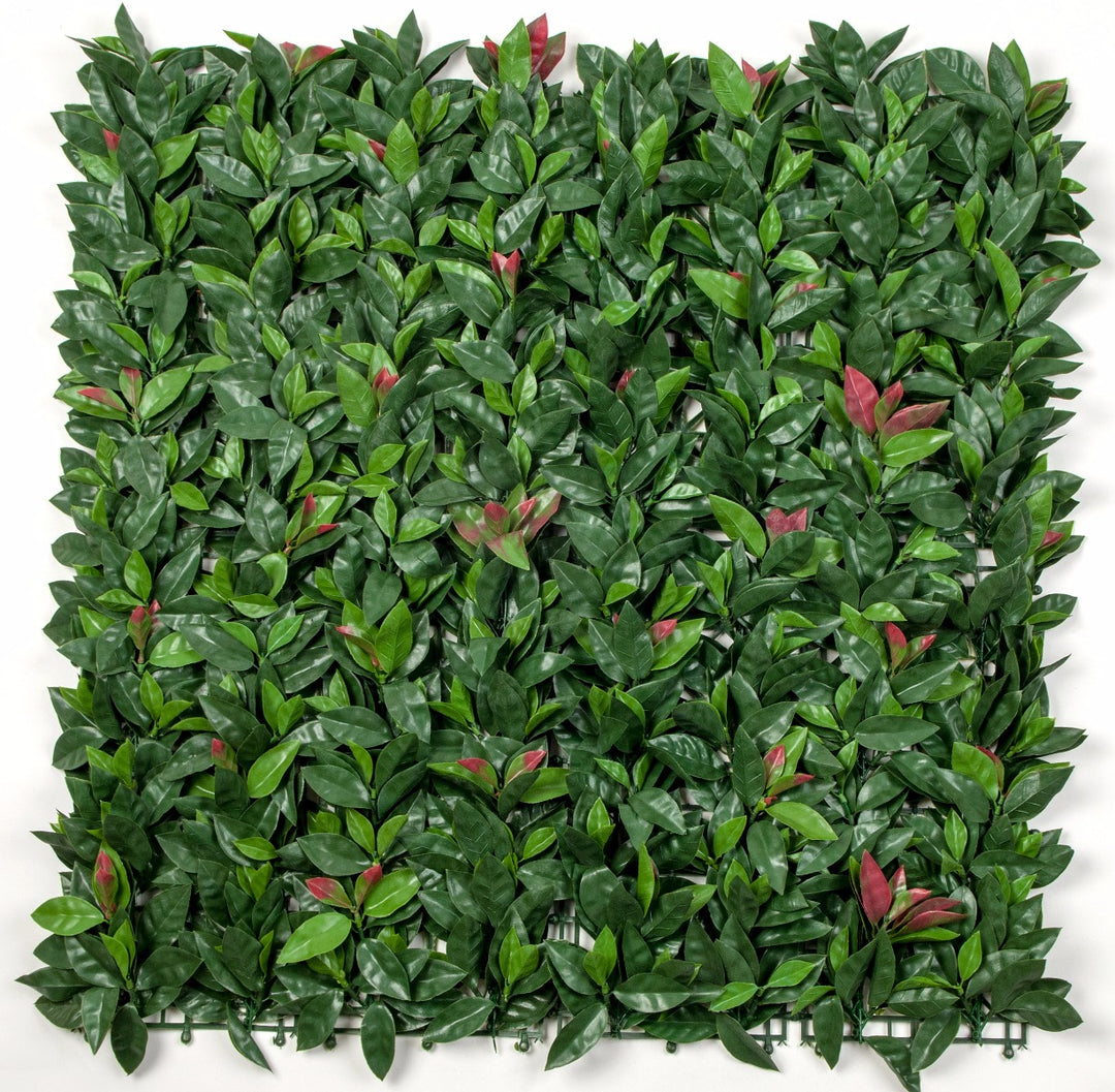 Photinia (Red Robin) Leaf Screens / Panels UV Stabilised 1m X 1m