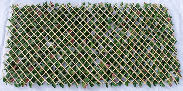 Photinia Hedge Extendable Trellis / Screen 2 Meter By 1 Meter UV Stabilised