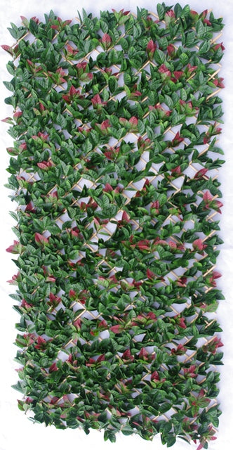 Photinia Hedge Extendable Trellis / Screen 2 Meter By 1 Meter UV Stabilised