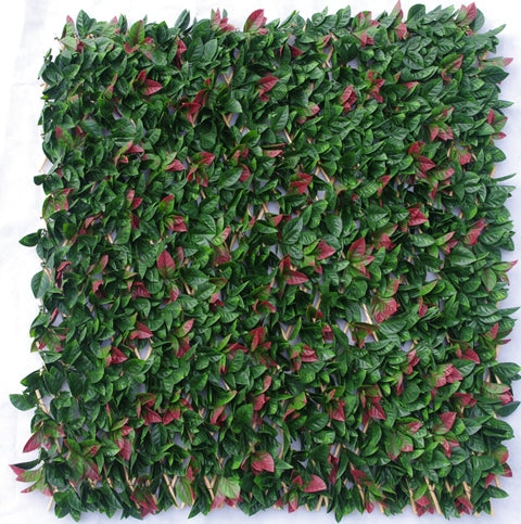 Photinia Hedge Extendable Trellis / Screen 2 Meter By 1 Meter UV Stabilised