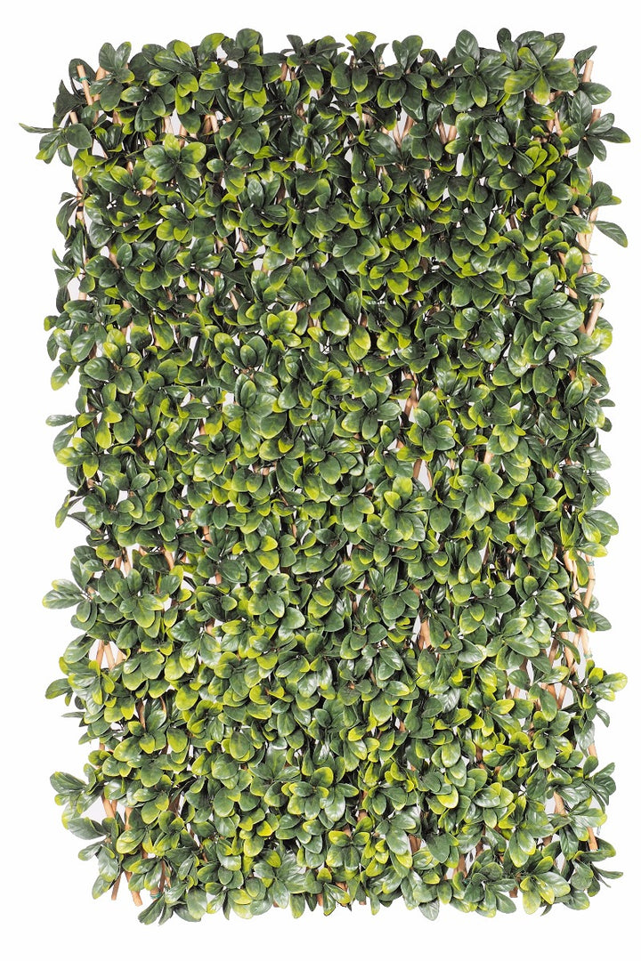 Laurel Hedge Extendable Light Timber Trellis / Screen 2 Meter By 1 Meter UV Stabilised