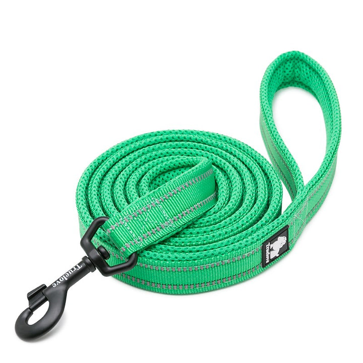 Reflective Pet Leash 2 meters Green L