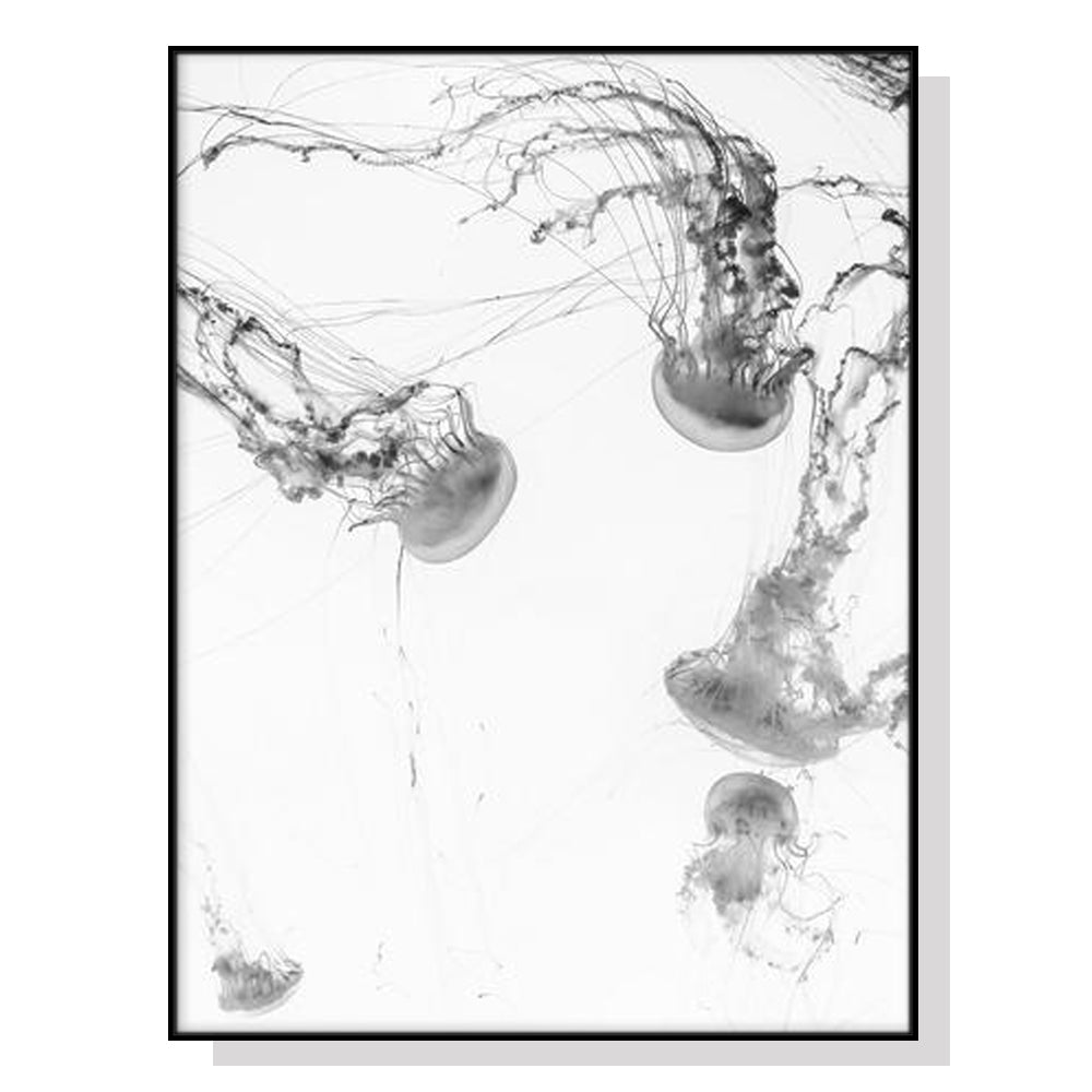 Wall Art 90cmx135cm Jellyfish Black Frame Canvas