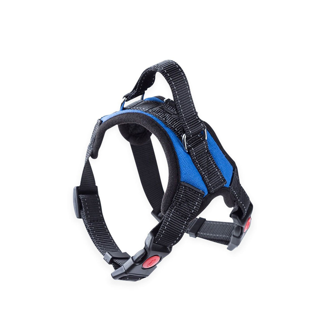 FLOOFI Dog Harness L Size (Blue)