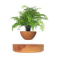 GOMINIMO Magnetic Levitating Plant Pot Oak