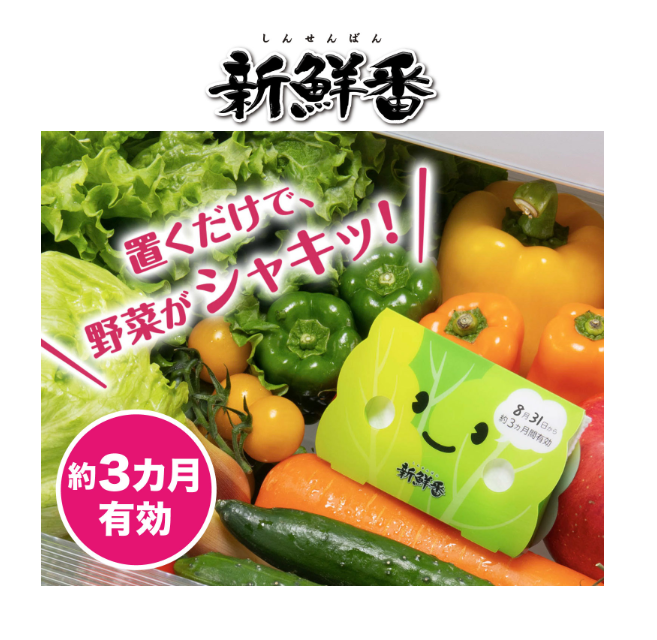 [6-PACK] S.T. Japan Refrigerate Vegetables for Long-term Preservation