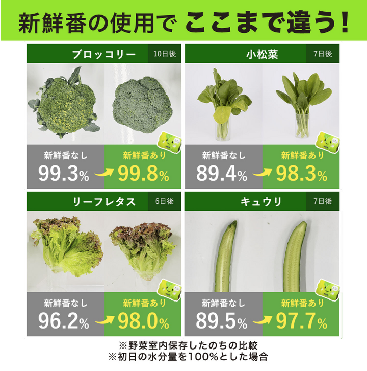 [6-PACK] S.T. Japan Refrigerate Vegetables for Long-term Preservation