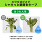 [6-PACK] S.T. Japan Refrigerate Vegetables for Long-term Preservation