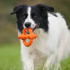 Major Dog Octopus Retrieval Ball - Small - Fetch Toy