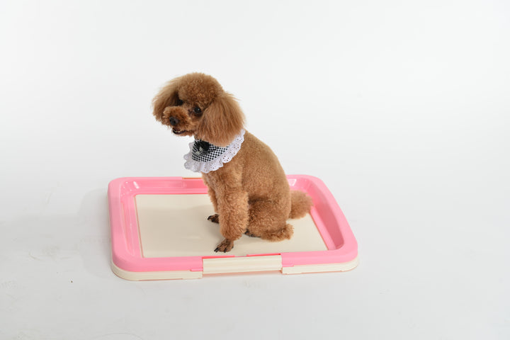 YES4PETS Large Portable Dog Potty Training Tray Pet Puppy Toilet Trays Loo Pad Mat Pink