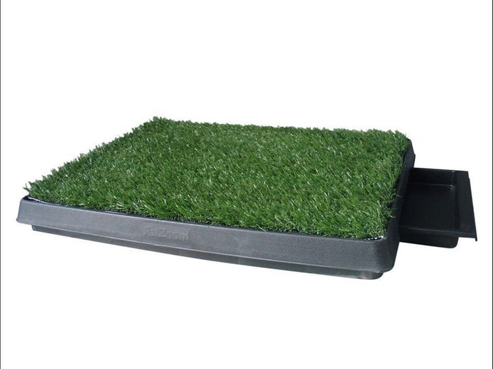 YES4PETS Indoor Dog Puppy Toilet Grass Potty Training Mat Loo Pad pad with 1 grass