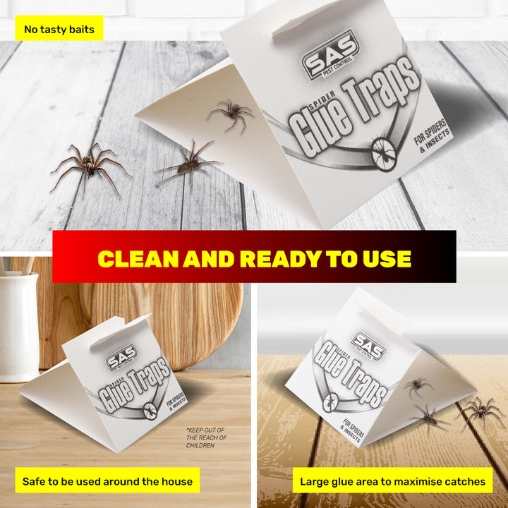 SAS Pest Control 72PCE Spider Traps Disposable Non-Toxic 70mm x 205mm