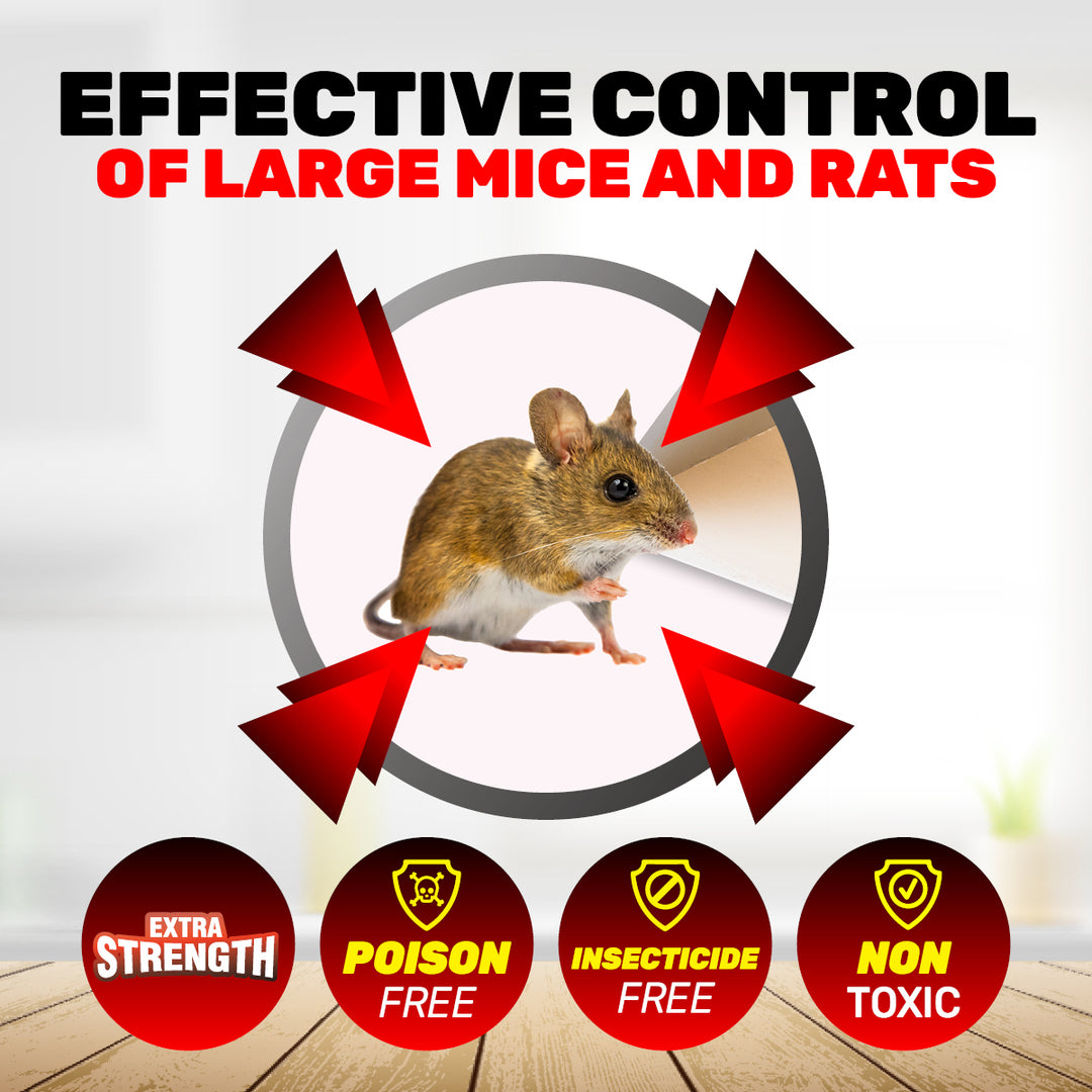 SAS Pest Control 48PCE Rat Mice Traps Ready To Use Disposable 17 x 23cm