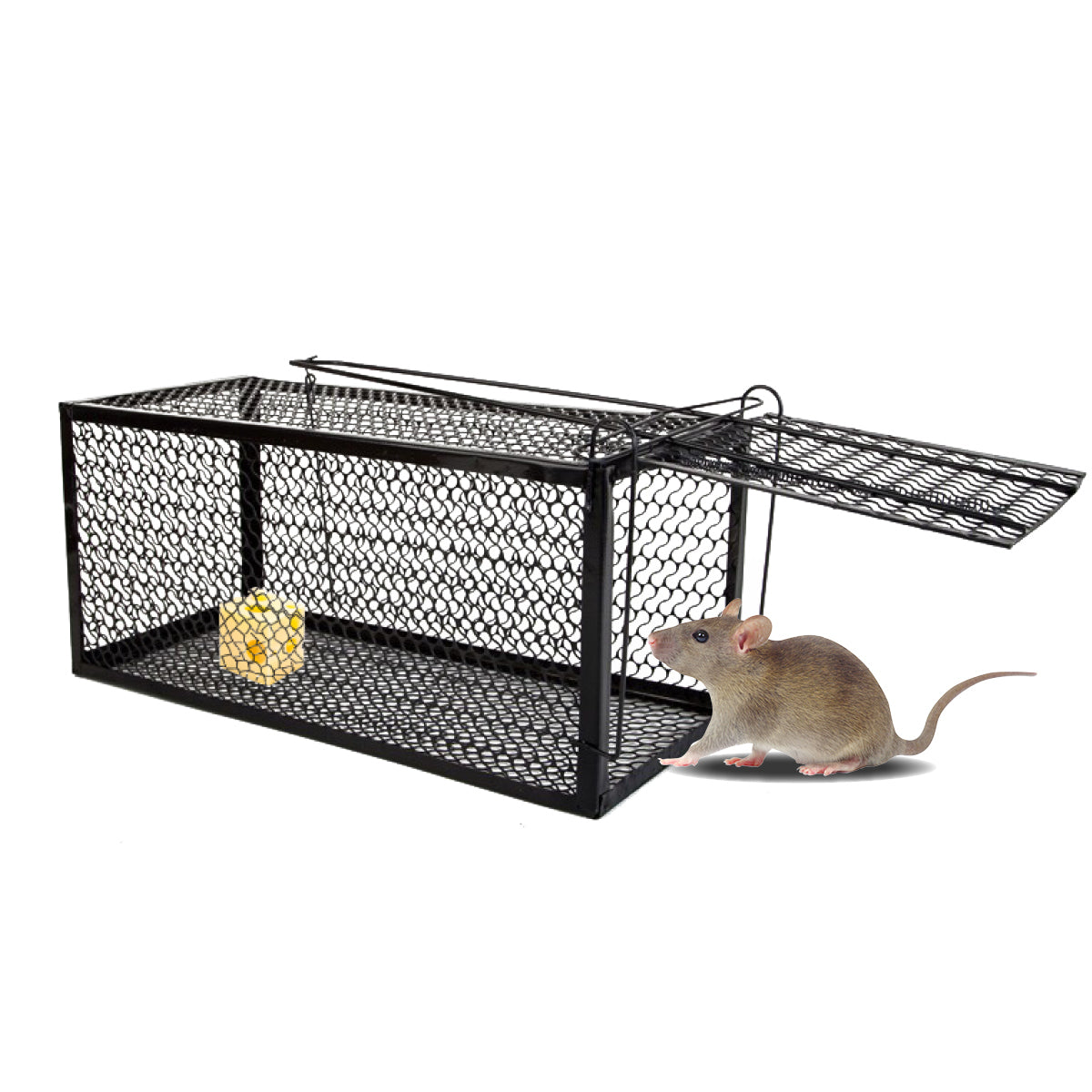 SAS Pest Control 12PCE Rat Trap Metal Cage Reusable Indoor Outdoor Use 24cm