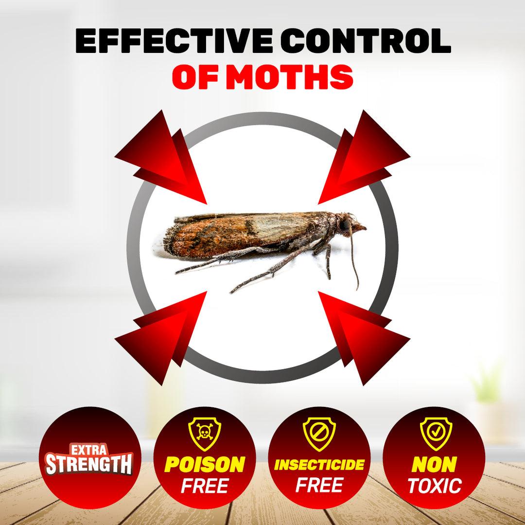 SAS Pest Control 144PCE Pantry Moth Traps Non-Toxic Fast Acting 13 x 10cm