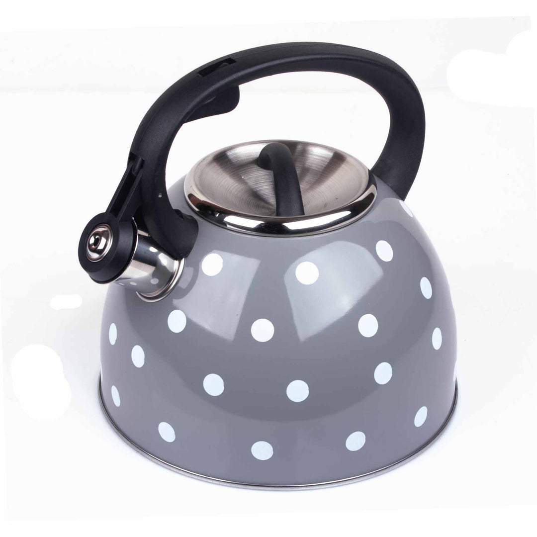 3 Liter Tea Whistling Kettle Stainless Steel Modern Whistling Tea Pot for Stovetop