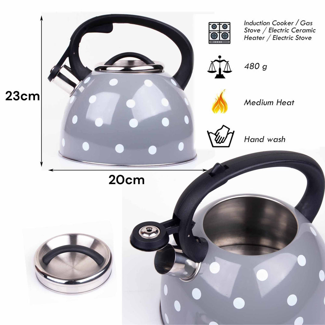 3 Liter Tea Whistling Kettle Stainless Steel Modern Whistling Tea Pot for Stovetop