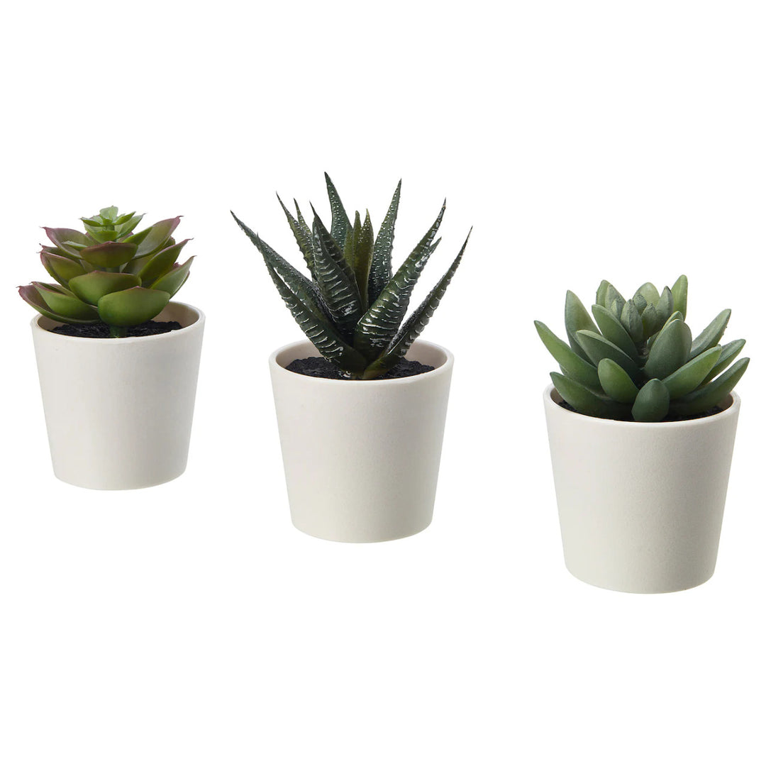 3 Pack of Artificial Succulent Potted Plants in White Plastic 6cm Pot Interior Decoration