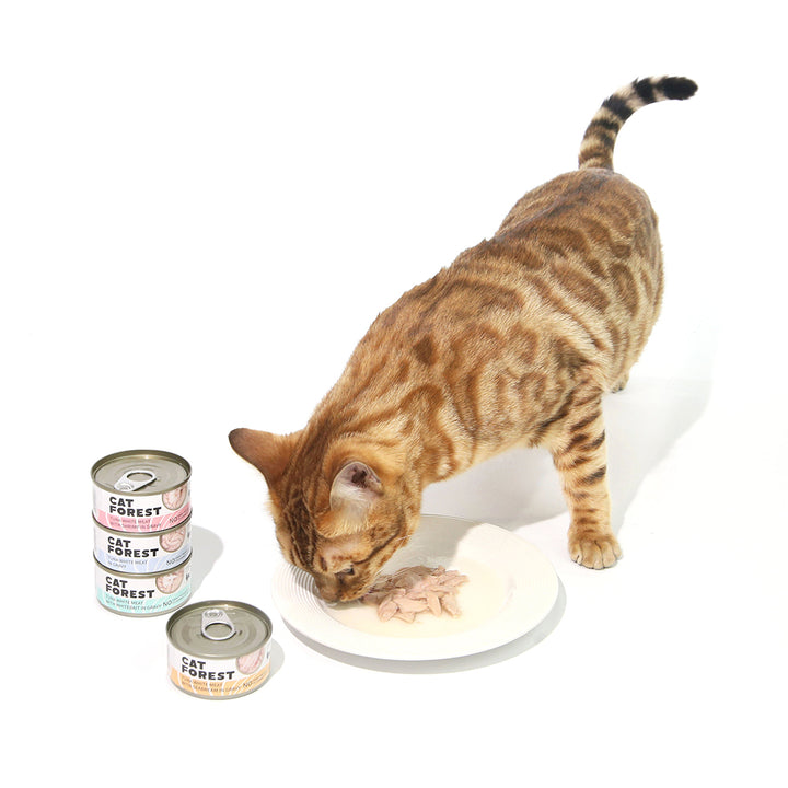 CAT FOREST Classic Tuna White Meat With Shrimp In Gravy Cat Canned Food 85G X 24