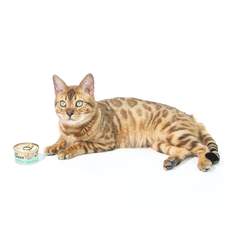 CAT FOREST Premium Tuna White Meat With Salmon In Jelly Cat Canned Food 85G X 24