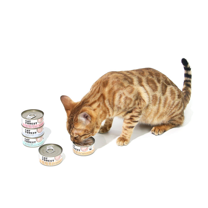 CAT FOREST Classic Tuna White Meat In Gravy Cat Canned Food 85G X 24