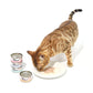 CAT FOREST Classic Tuna White Meat With Whitebait In Gravy Cat Canned Food 85G X 24