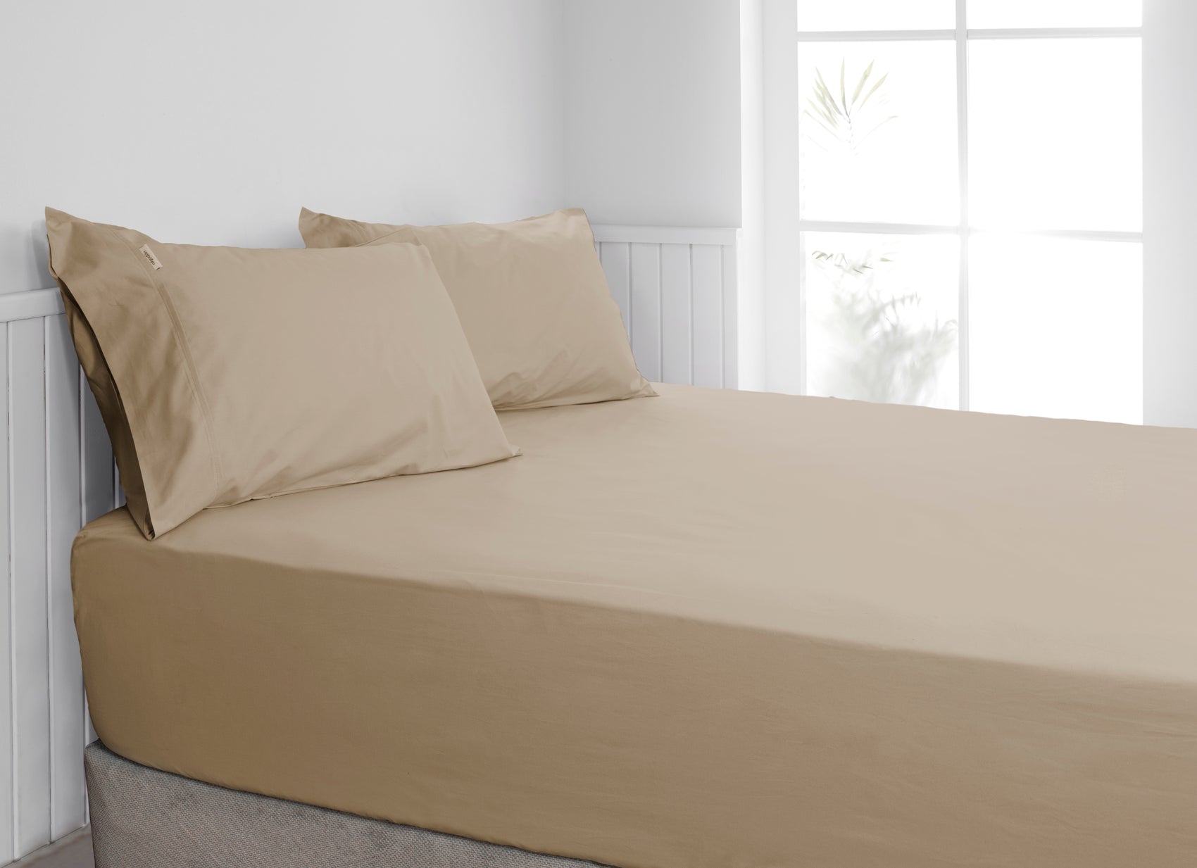 300TC Cotton FITTED SHEET Combo Set - MEGA QUEEN