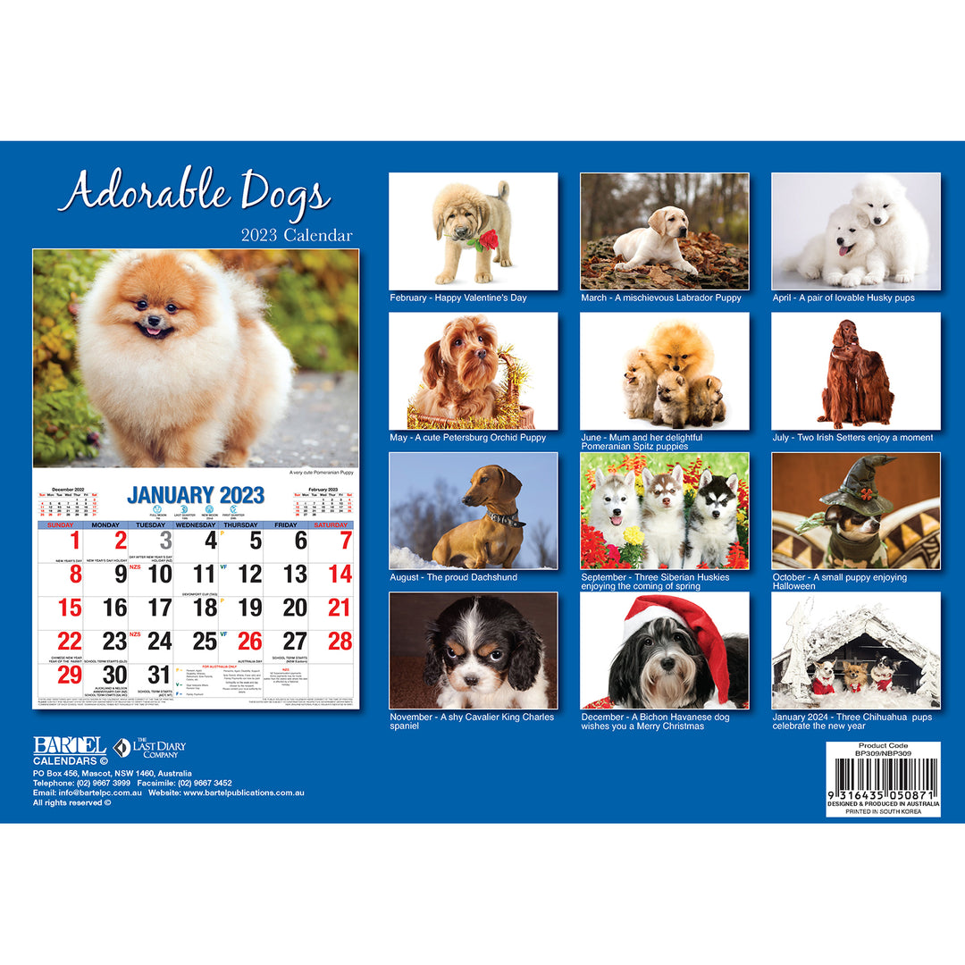 Adorable Dogs – 2023 Rectangle Wall Calendar 16 Months Planner New Year Gift